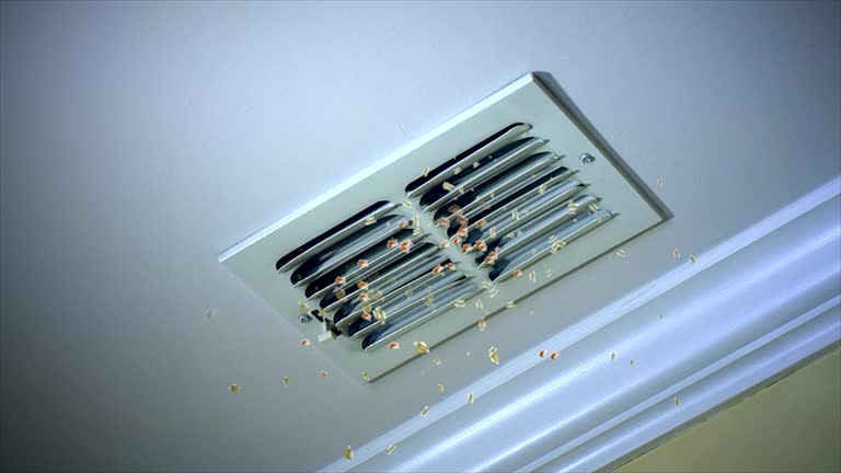 Best Home Air Vent Cleaning  in Franklin, TX