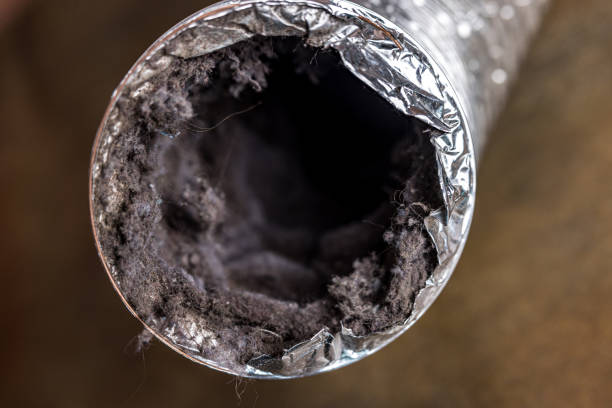Best Ductwork Cleaning Services  in Franklin, TX